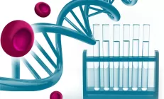 Способности УДХК предотвращать онкогенез