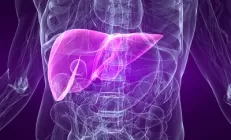 Как защитить печень?