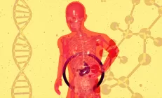 Гипербилирубинемия: причины возникновения, симптомы, диагностика и лечение