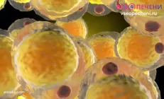 Лямблиоз (видео)