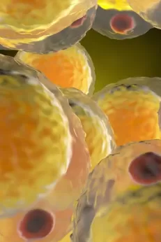 Лямблиоз (видео)