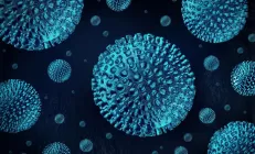 Гепатит B: почему болеть им страшнее, чем гепатитом С?