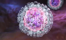 Учёные: Лечение гепатита С лучше начинать без определения стадии заболевания