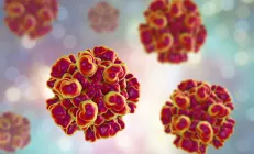 Учёные выяснили, как вирус гепатита Е «действует на нервы»