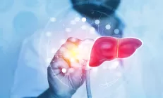 Учёные обнаружили новую структуру в клетках печени