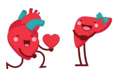 Учёные: У человека с запущенным ожирением печени – высокий риск умереть от болезней сердца и сосудов