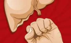 Травмы печени: виды, признаки, диагностика, лечение и последствия