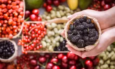 Что такое окислительный стресс и зачем вам антиоксиданты?