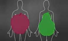 Что лучше — фигура в форме яблока или груши? Отвечает профессор Маевская