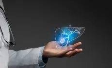 Застой желчи меняет структуру печени и приводит к хроническим заболеваниям