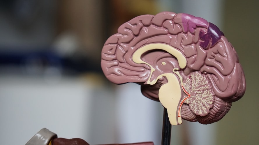 Цирроз печени влияние на головной мозг
