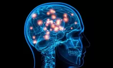 Исследование: Жировая болезнь печени угрожает здоровью мозга