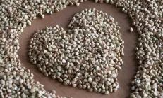 И куда теперь девать гречку? 5 рецептов с вашей любимой крупой