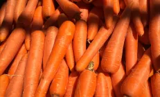 Морковь и болгарский перец помогают снизить риск жирового гепатоза