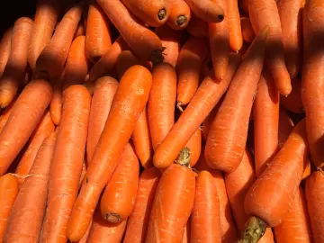 Морковь и болгарский перец помогают снизить риск жирового гепатоза