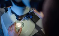 Ученые обнаружили неизвестный вирус, вызывающий гепатит у человека