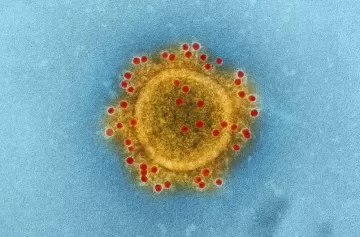 Новый коронавирус: что нужно знать