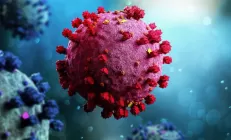 Учёные: Лекарство для печени можно использовать для предотвращения COVID-19