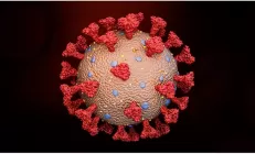 Найден препарат, который не позволяет COVID-19 проникать в клетки человека