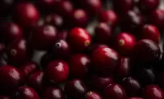 Добавление клюквы в рацион поможет справиться с жировым гепатозом