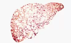 Витамин Е помогает в лечении болезни печени