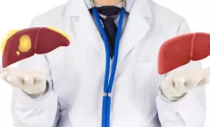 Учёные выяснили, как стимулировать процесс восстановления печени при заболеваниях