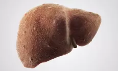 Учёные: Фиброз печени создаёт благоприятные условия для развития рака