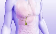 Что делать с желчью: гнать или не гнать? Мнение врача-гастроэнтеролога