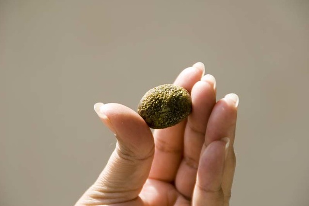 Камни в желчном пузыре влияет ли на печень thumbnail
