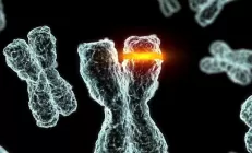 Гемохроматоз (бронзовый диабет): симптомы, диагностика и лечение