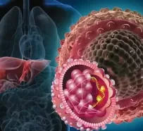 Гепатит: виды, пути заражения, симптомы, лечение и меры профилактики