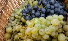 Виноград снижает риск ожирения печени — учёные