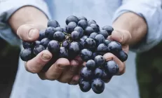8 продуктов, которые помогут вам защитить печень