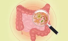 Как дисбиоз кишечника связан со стеатозом печени?