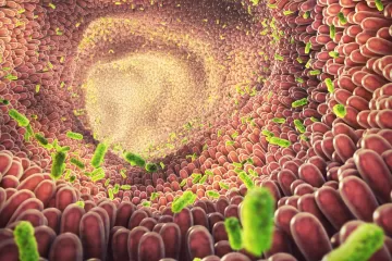 Дисбаланс кишечной микрофлоры усугубляет повреждение почек