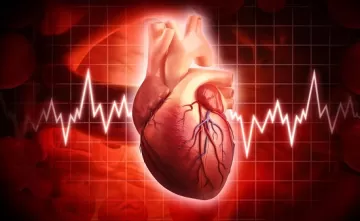 Желчные камни увеличивают риск развития сердечных заболеваний