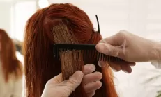 Японские учёные предлагают создать лекарство для печени на основе хны