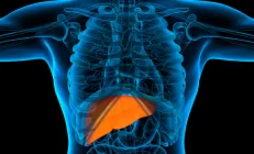 Родственники пациентов с жировой болезнью печени в 12 раз чаще сталкиваются с фиброзом