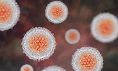 В Россию прекращают поставлять доступный препарат для лечения гепатита С