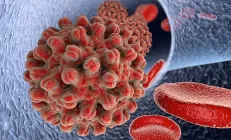 Российские генетики близки к созданию препарата для полного излечения от гепатита B