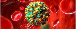 Что будет, если не лечить гепатит С?