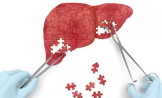 Учёные открыли новый биомаркёр жирового гепатоза