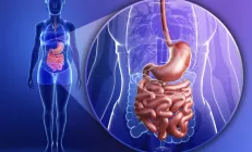 Не щадя живота своего: 7 тревожных сигналов пищеварительной системы