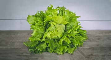 Зелёные листовые овощи помогают снизить количество жира в печени