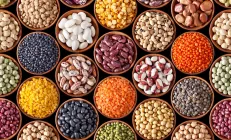 Учёные рекомендуют заменять мясо бобовыми для защиты желчного пузыря