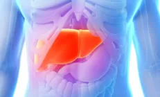 Доктор Вялов: Банальный жир в печени может привести к циррозу