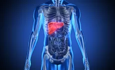 Воспаление печени провоцирует сосудистые патологии у больных диабетом