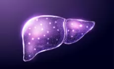 Испанские учёные выяснили, какие клетки печени стареют быстрее