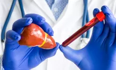 Как восстанавливается печень и можно ли ускорить этот процесс?