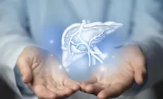 Немецкие учёные выяснили, как «хорошие» клетки печени превращаются в «плохие»